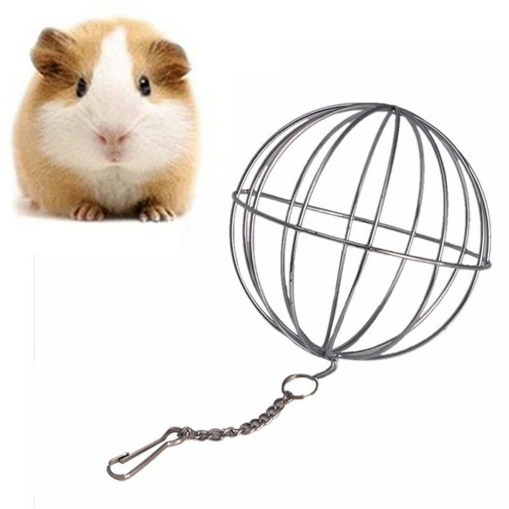 Stainless Steel Round Sphere Food Feed Dispenser Rabbit Pet Hanging Ball T.l8