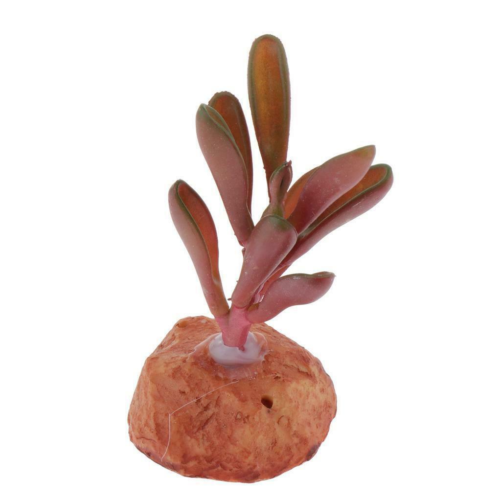 Aquarium Fish Tank Landscaping Plants Ornaments Reptile Hideaway Hide Cave
