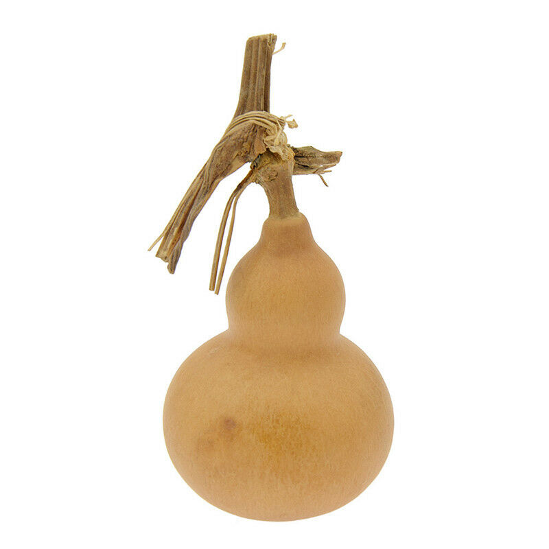 10x Miniture Hand   Gourds Natural Plante Crafts Home Gardin Decoration