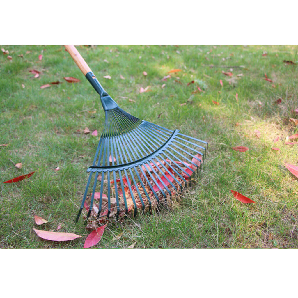 Steel 22 Tooth Lawn Rake Head For Garden Leaves Heavy Duty Garden Tools