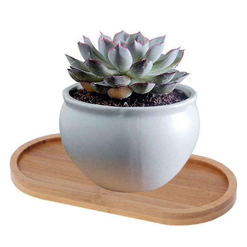 Oval Shape Bamboo Wood Saucer Plant Tray Mini Plant Flower Pot Stand Pot Tray