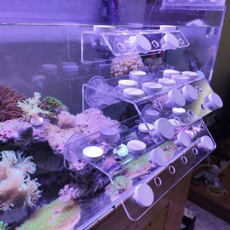Ceramic Coral Frag Disks Coral Frag Rack Plates Brackets Aquarium Accessories