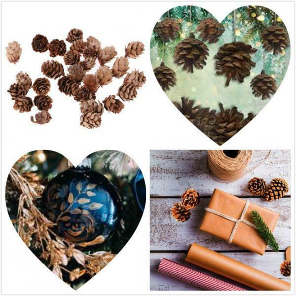 60 Natural Pine Cones 1-2cm Pinecone Florist Crafts for Home Table Ornaments