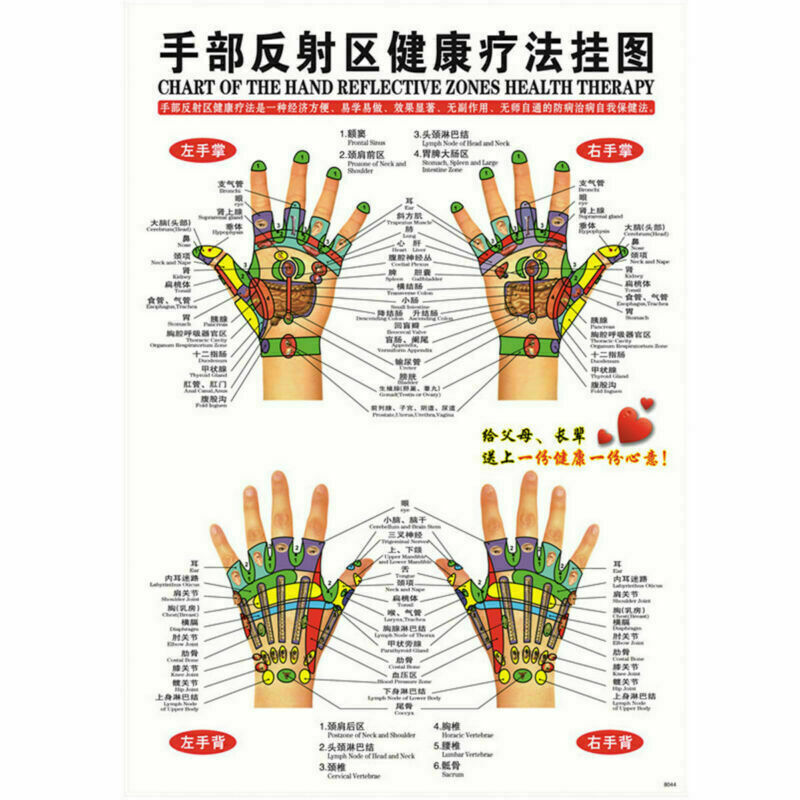 7pcs English Acupuncture Meridian Acupressure Points Posters Chart Wall Map