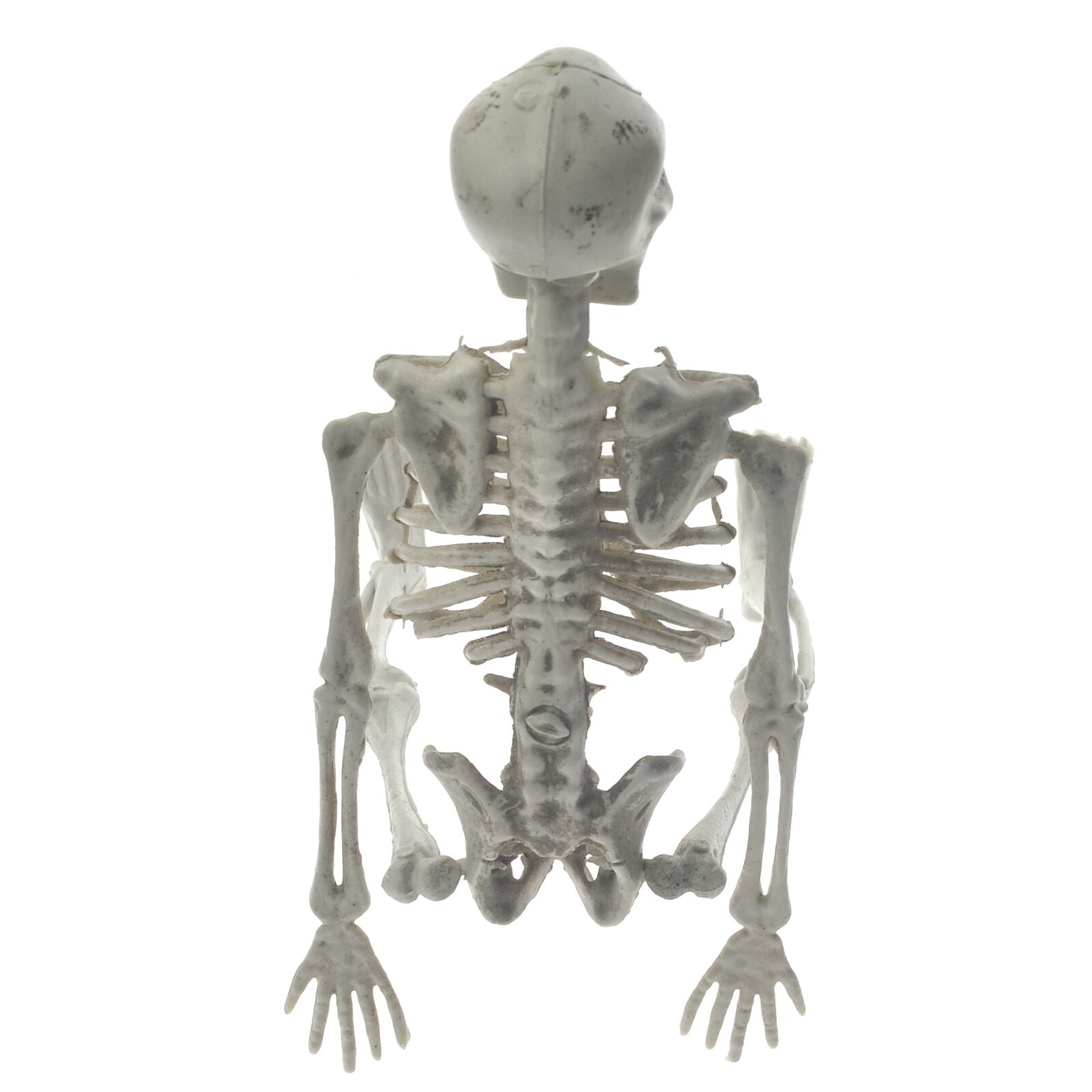 Halloween Poseable Full Life Size Human Animals Skeleton Party Prop Decoration
