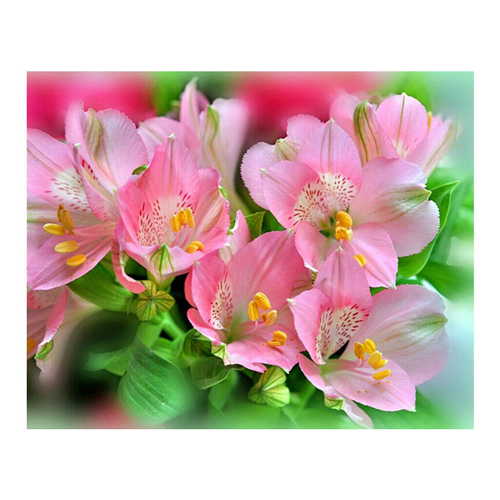 Pink Flowers DIY 5D Diamond Painting Embroidery Cross Stitch Kit Home Decor