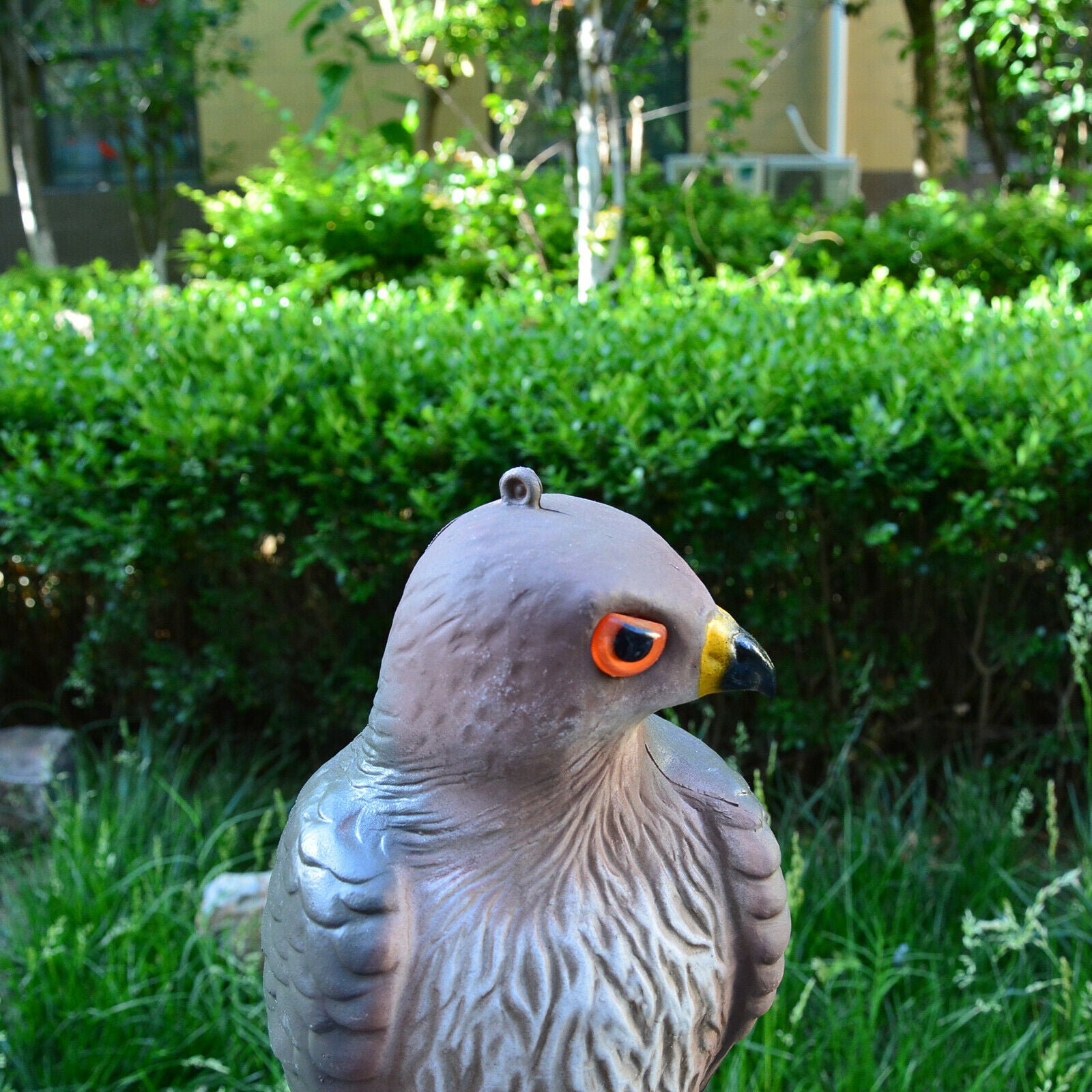 Hawk Hunting Bird Scare Repellent Decoy Statue Garden Ornamental Pest Help