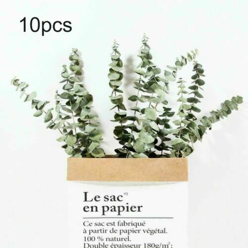 10x Natural Dried Flower Eucalyptus Branches Leaves Bouquets Home Decors hot