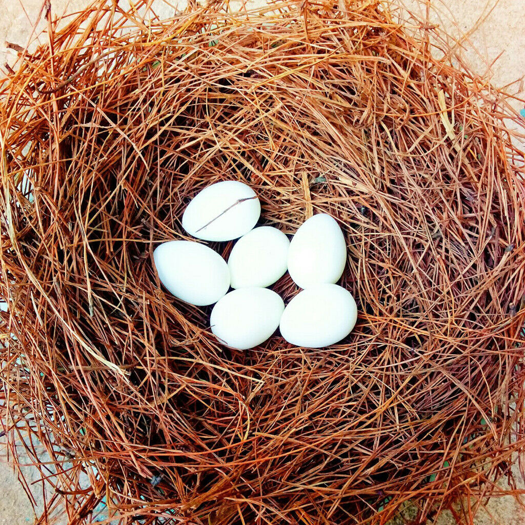 Pet Nest Supplies Natural Pine Leaf Mat for Cat Dog Bird Parrot Rabbit 2
