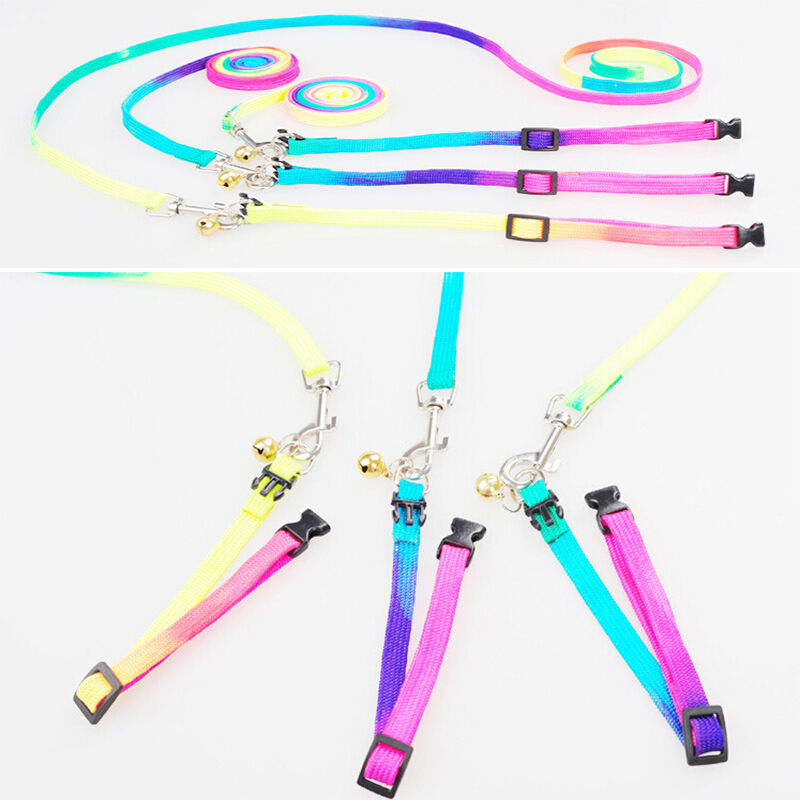 Small Dog Puppy Doggy MultiColor Rainbow Harness Lead Luminous Lead Leash ATDD