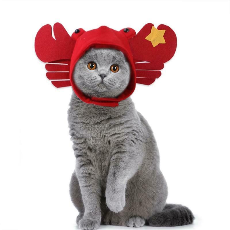 Cat Hat Crab Funny Halloween Costume Cat Dog Hats Pet Puppy Props Dress Headgear