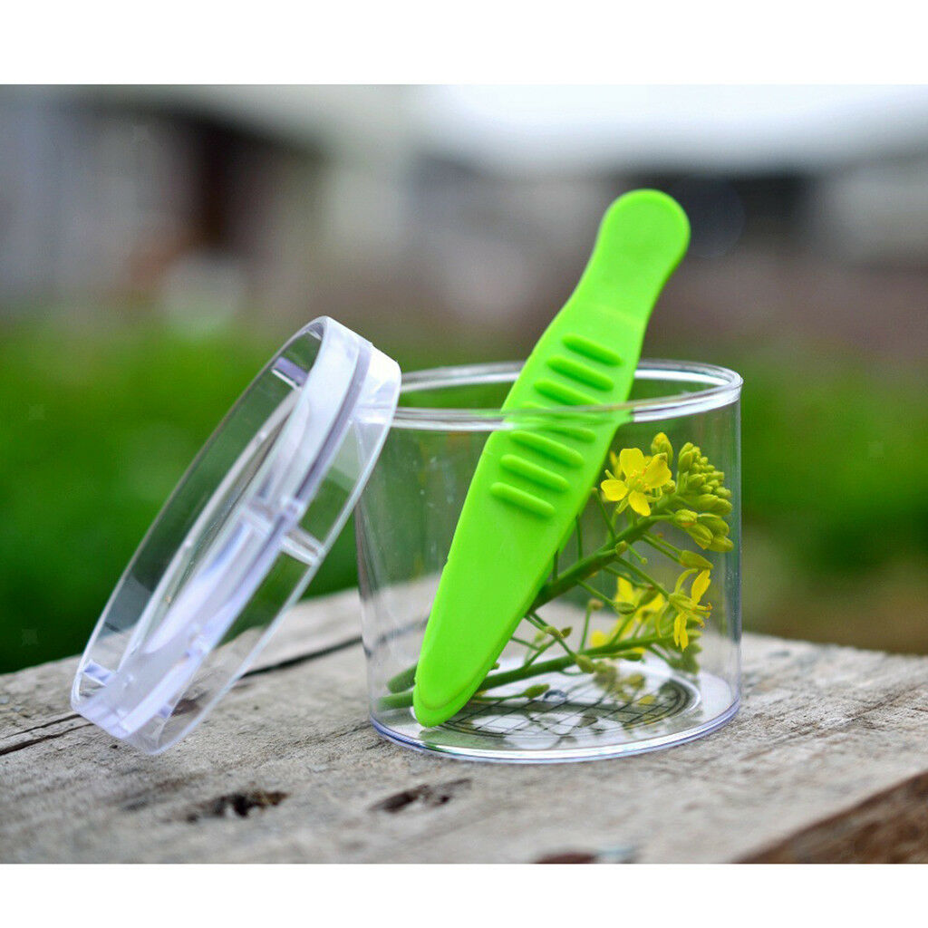 2pcs/set Scissor Clamp & Tweezers Kit for Kids Outdoor Exploration Playing