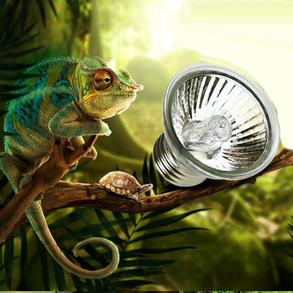 110V Reptile Light Heat Halogen Bulb Pet Beneficial Lighting E27 50W