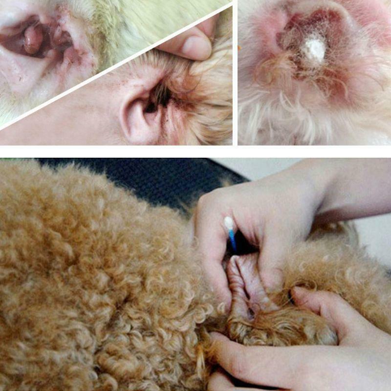 Pet Clean Ear Powder Cat Dog Grooming Ear Canal Clean Health Care Powder