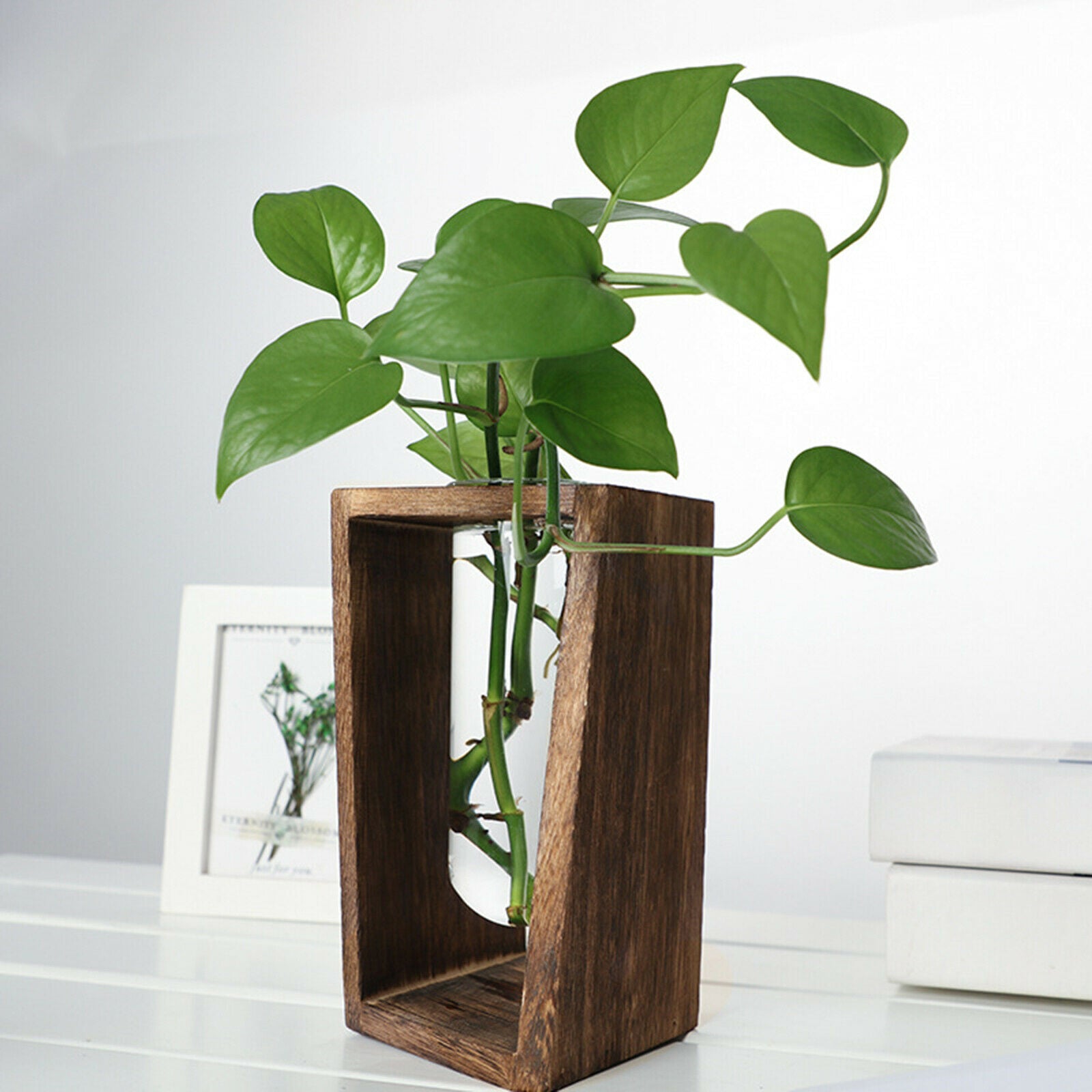 Glass Hydroponic Plant Vase Holder Container Bonsai Flower Pot Planter Home