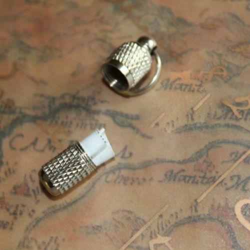 2x Anti-Lost Pet Dog Cat ID Stainless Steel Tag Name Address Barrel Tub.l8