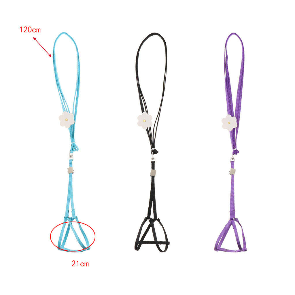 Outdoor Parrot Rope Pet Leash Adjustable Bird Harness S Purple