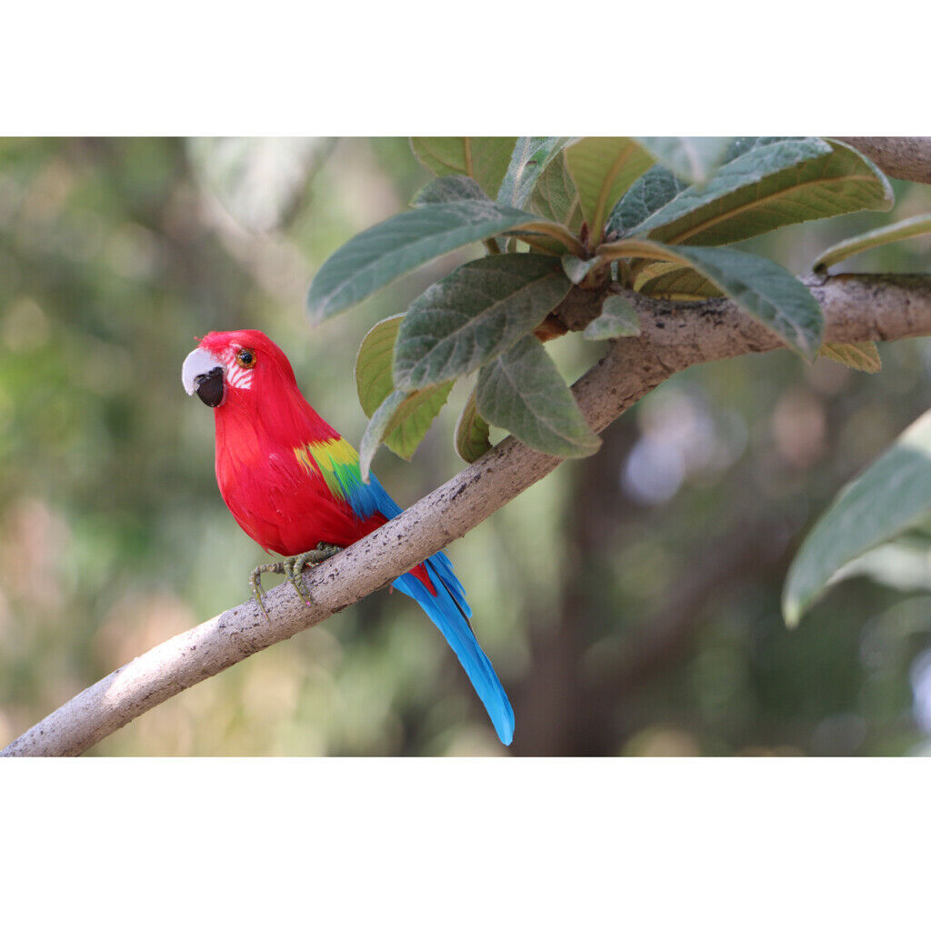 Artificial Bird Feathered Realistic Garden Home Decor Ornament  Parrot #4