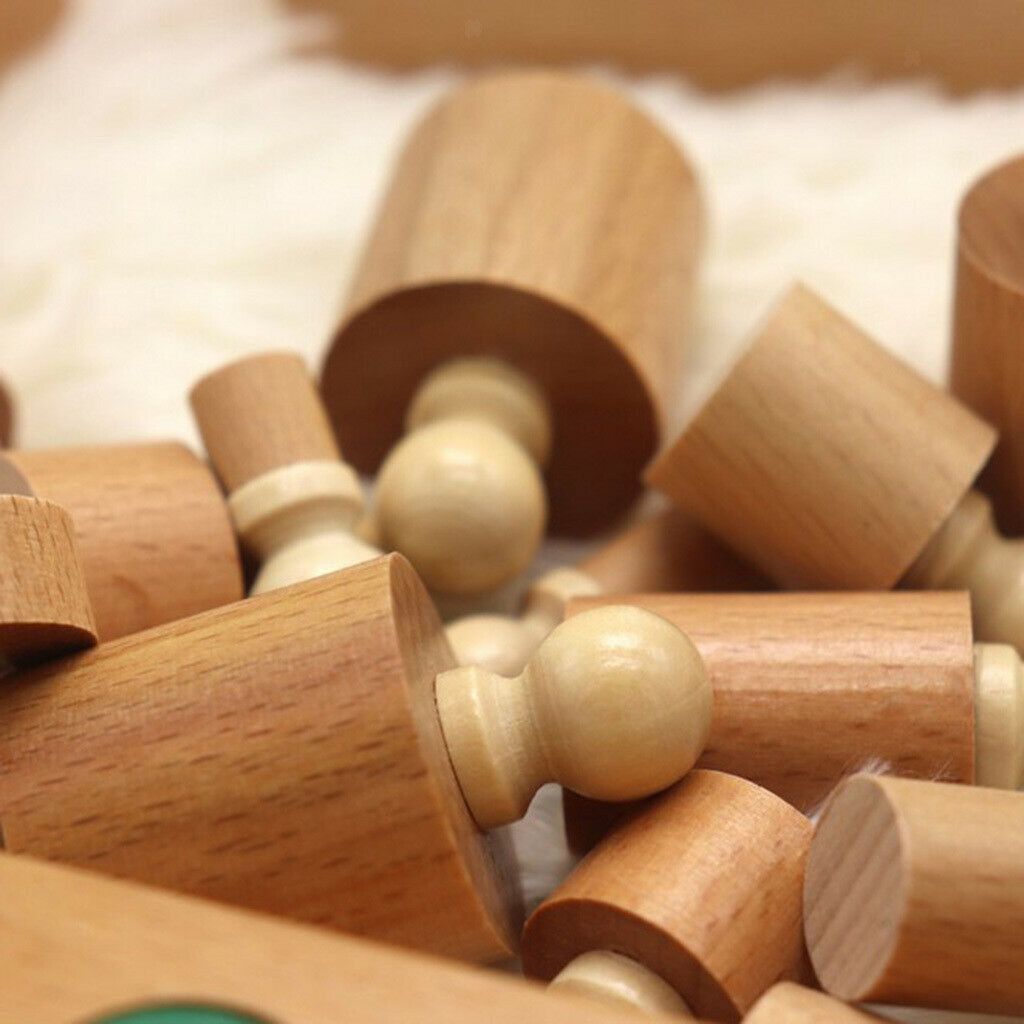 Wood Montessori Cylinder Color Matching Geometry Toys Kid Math Supplies