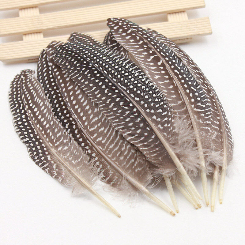 100 Pcs Natural Guinea Fowl Feather 16-19cm/ 6.3-7.5inch Decorative Diy Carnival