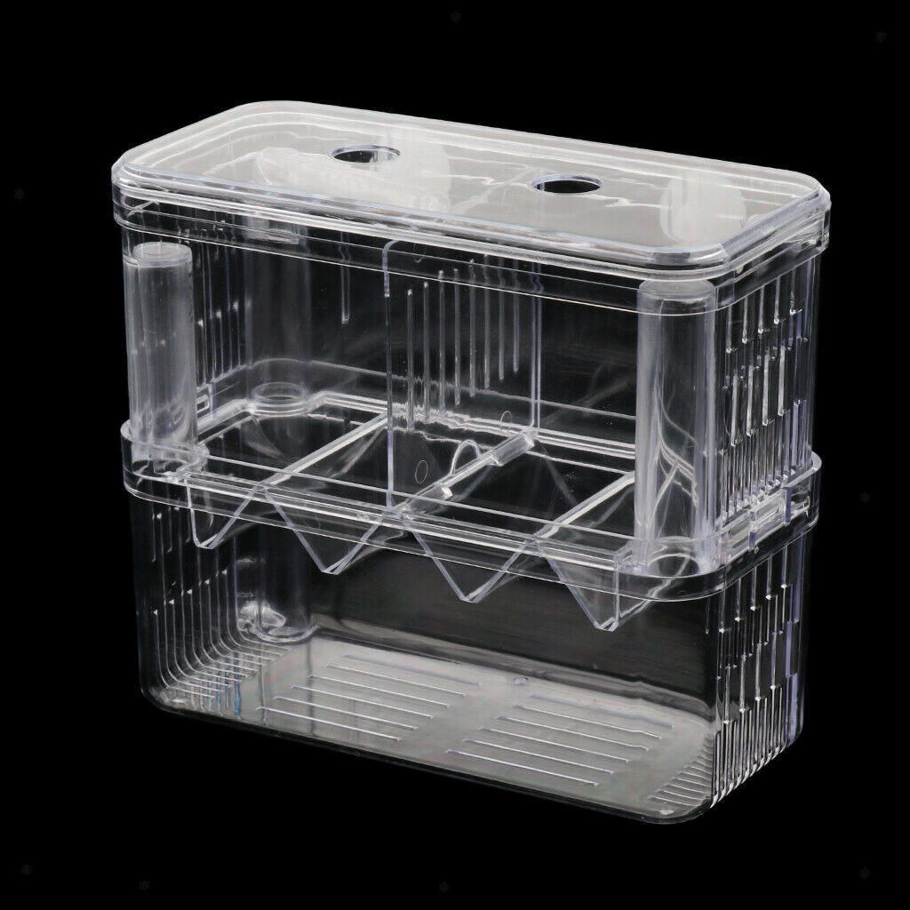 Aquarium Fish Breeder Box Isolation Box Fish Breeding Hatchery Incubator New