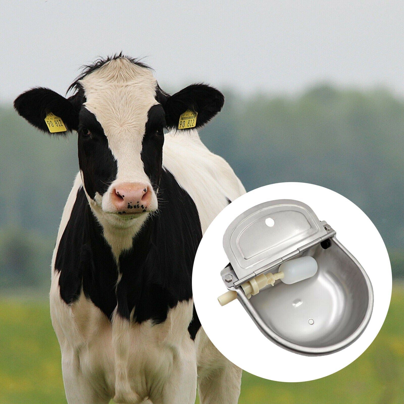 Automatic Stock Feeder Trough Bowl Dispenser Waterer Drinking Waterer