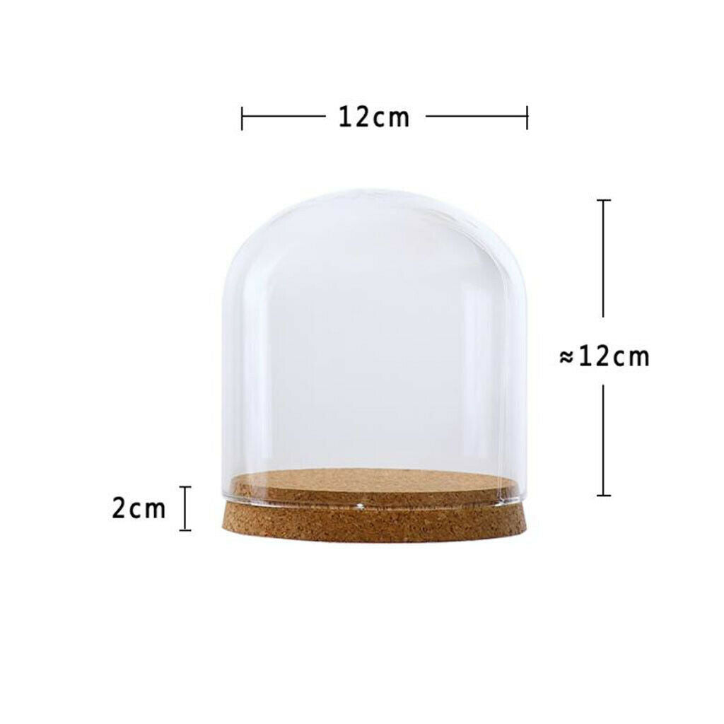 Glass Cloche Dome Cover Succulent Terrariums with Wood Cork Tabletop Decor S