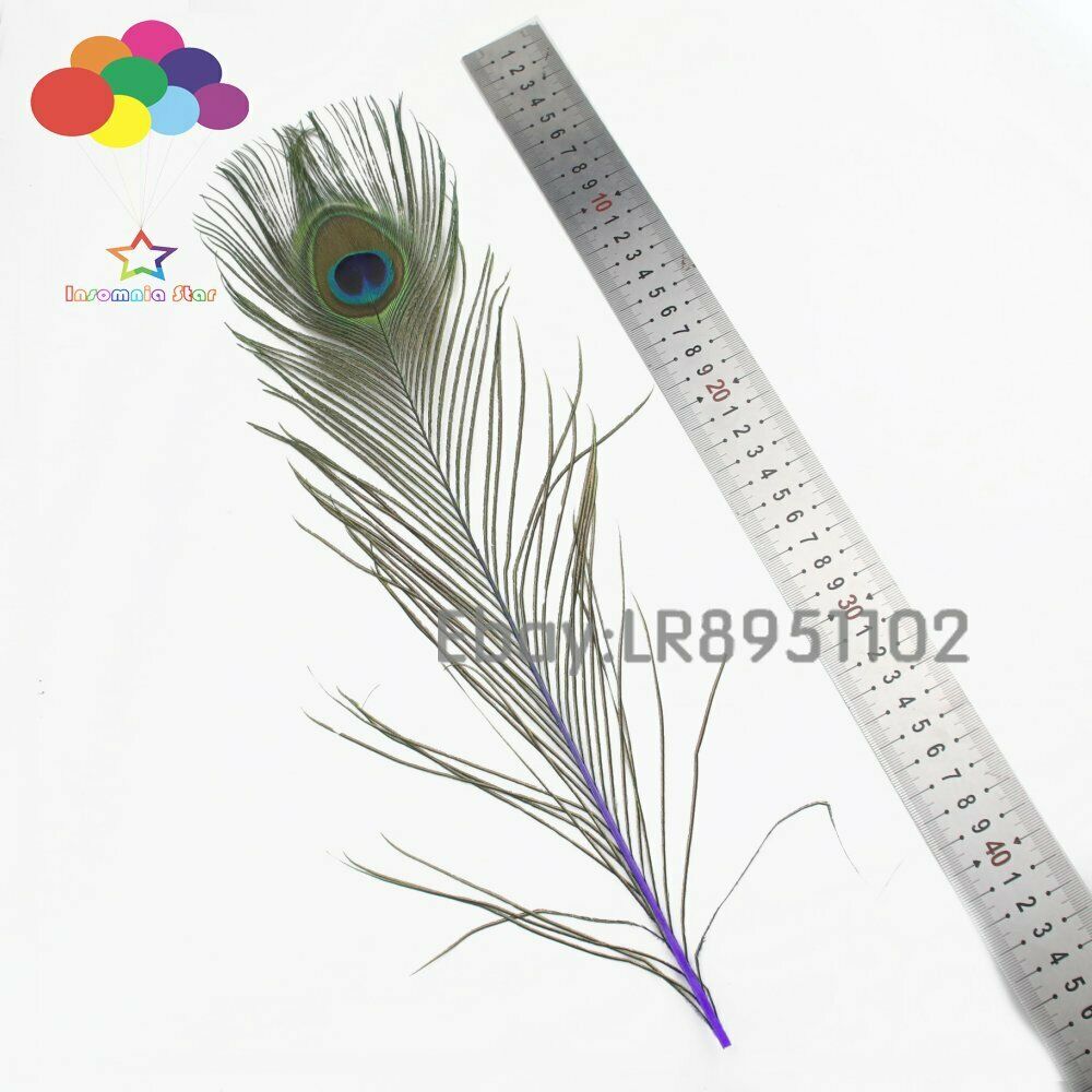 Deep purple Peacock Feathers 16-18 inches Long 40-45cm 100 pieces per pack