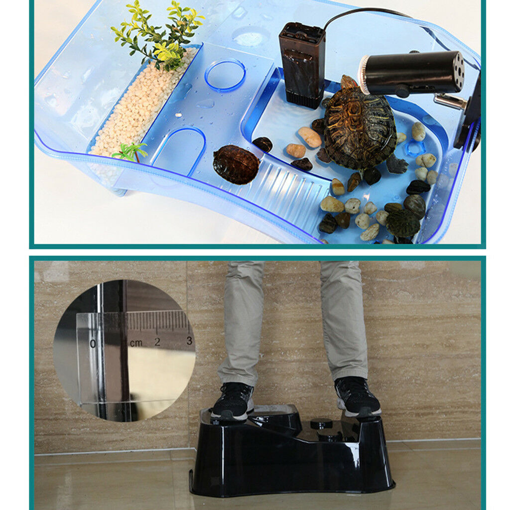 Reptile Tortoise Turtle Habitat Terrarium Tank Box with Lamp Holder White