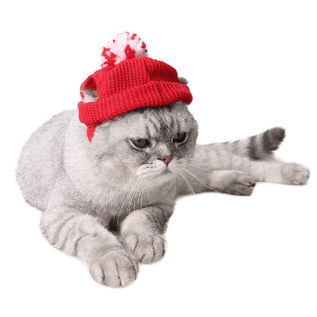 Pet Cat Dog Hat Costume Hat for Cat Pets