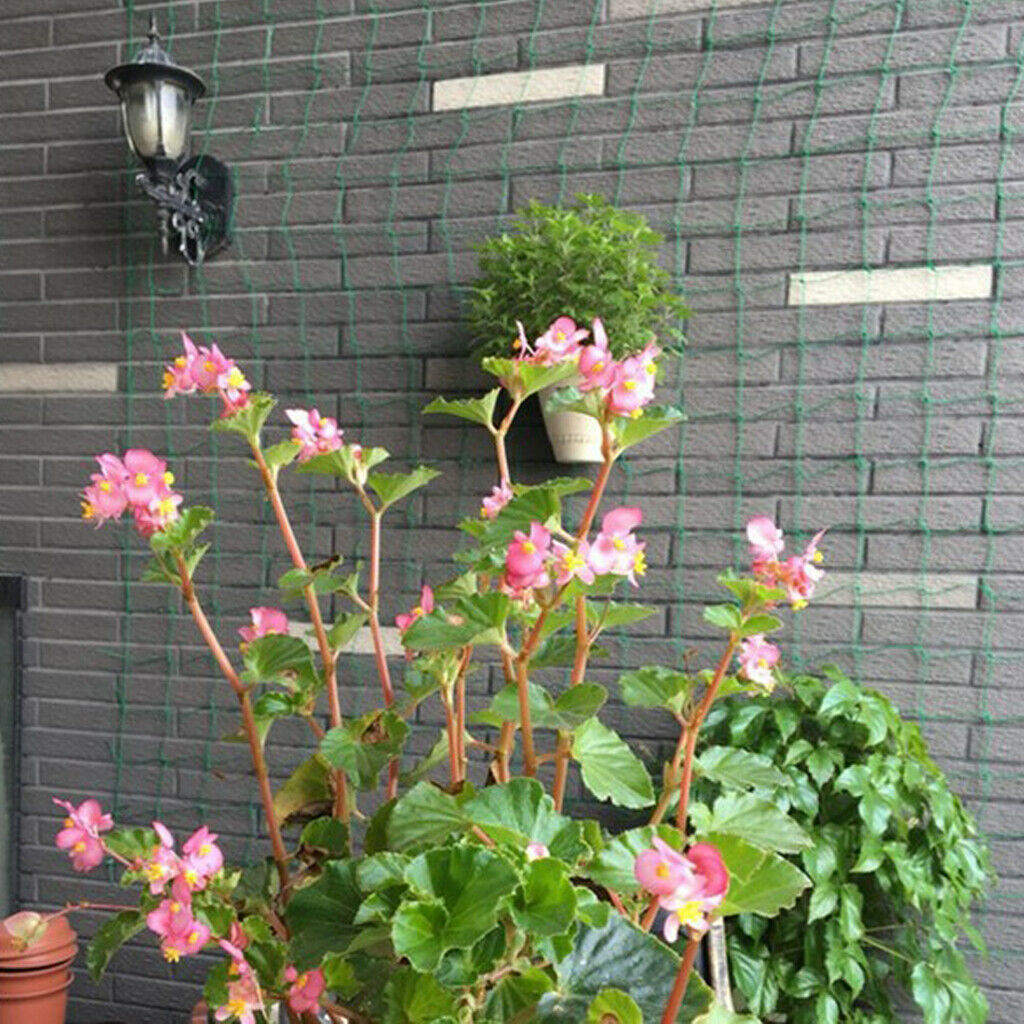 2x Durable Plant Trellis Netting Vine Trellis Net Support Vegetables &Fruits