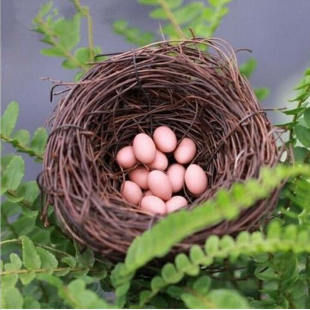 Handmade Vine Bird Nest House/Home Nature Crafts Sill Holiday Decor 20cm