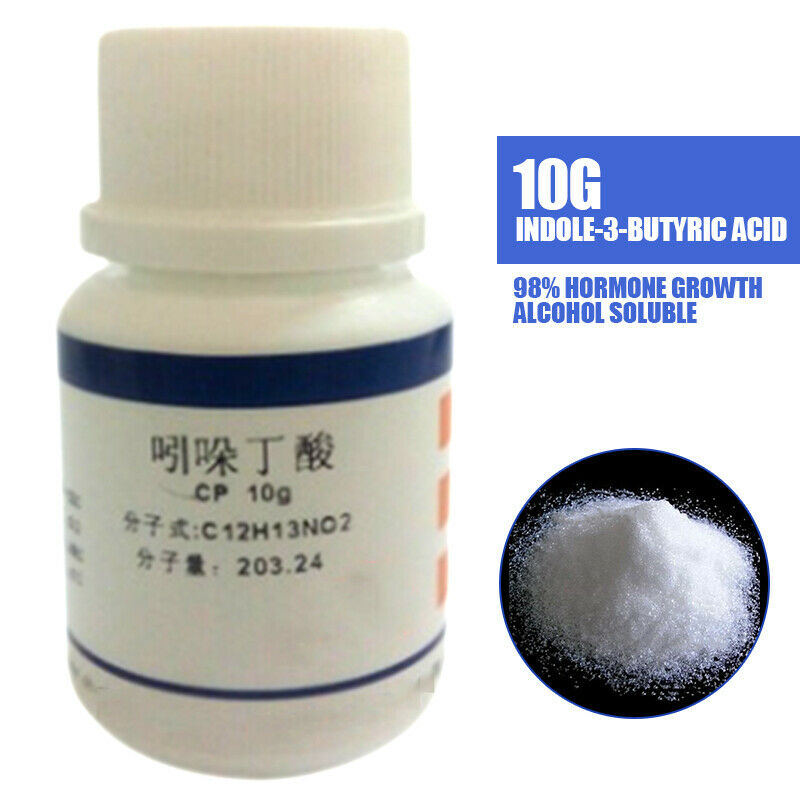 10g Indole-3-butyric acid IBA 3 Plant Hormone Growth Soluble in 1N KOH 5 mg/ml
