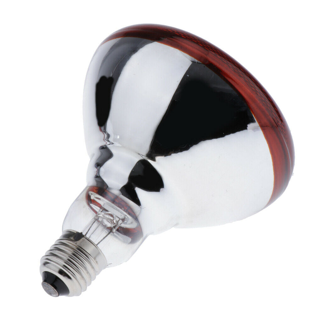 220V Basking Bulb Reptile Habitat Heat Light Bulbs Lamp 175W for Reptile Tank