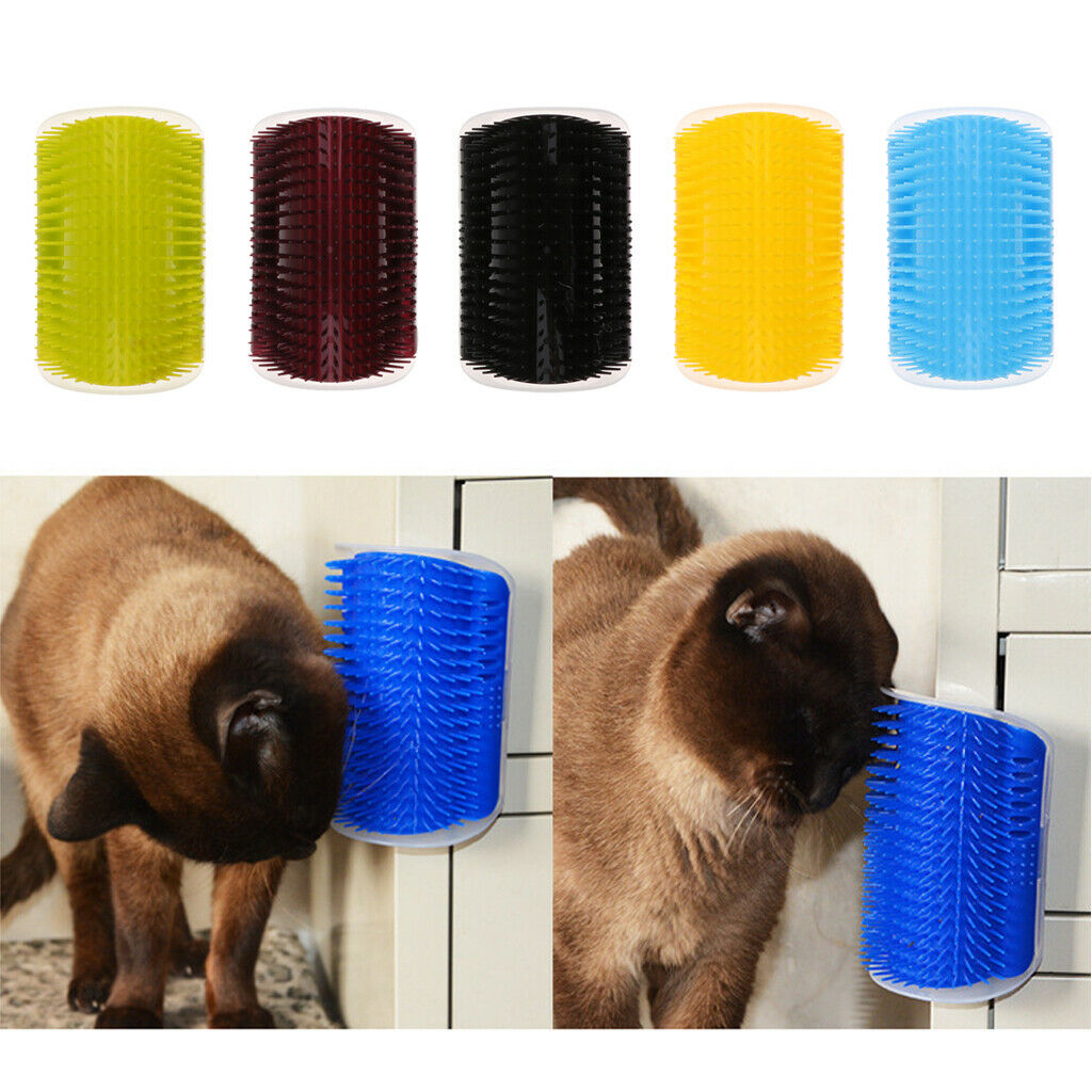 2 lot Kitten Massage Kitten Hairs Groomer With Catnip for Short Hairs Cat