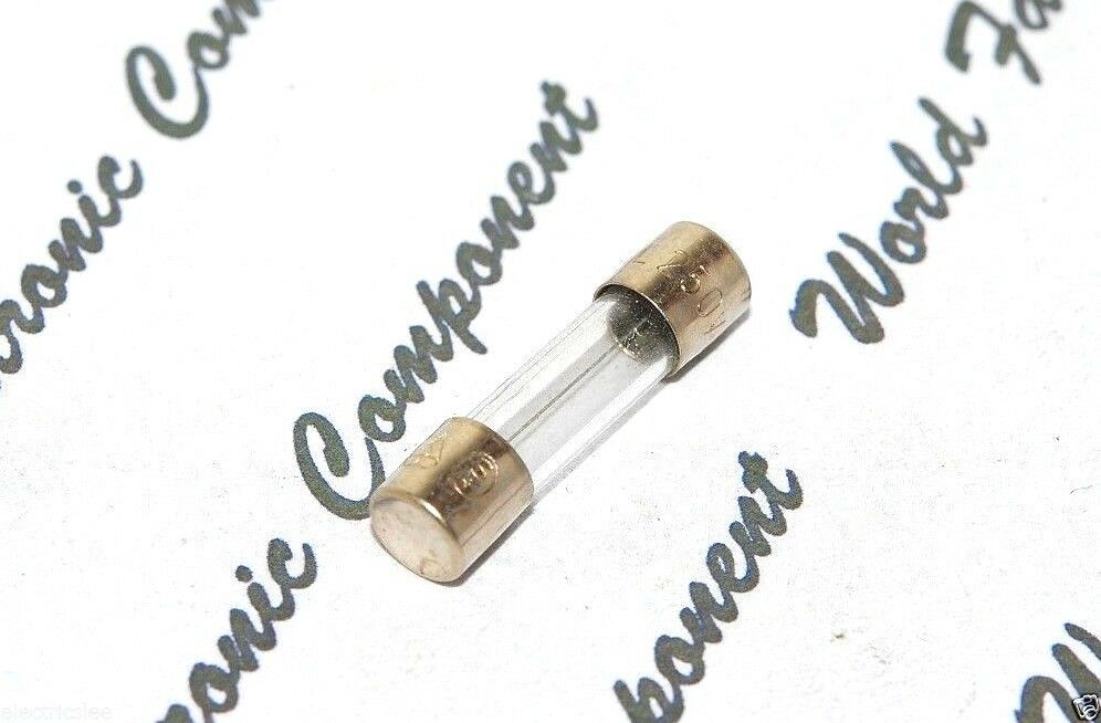 2pcs - SCHURTER  (T) 2A 250V 5x20mm Glass Fuse - For Audio