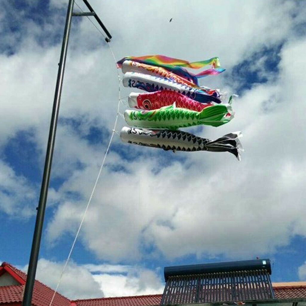 70cm Rainbow Japanese Windsock Carp Flag Koi Nobori Wind Streamer Kite Decor
