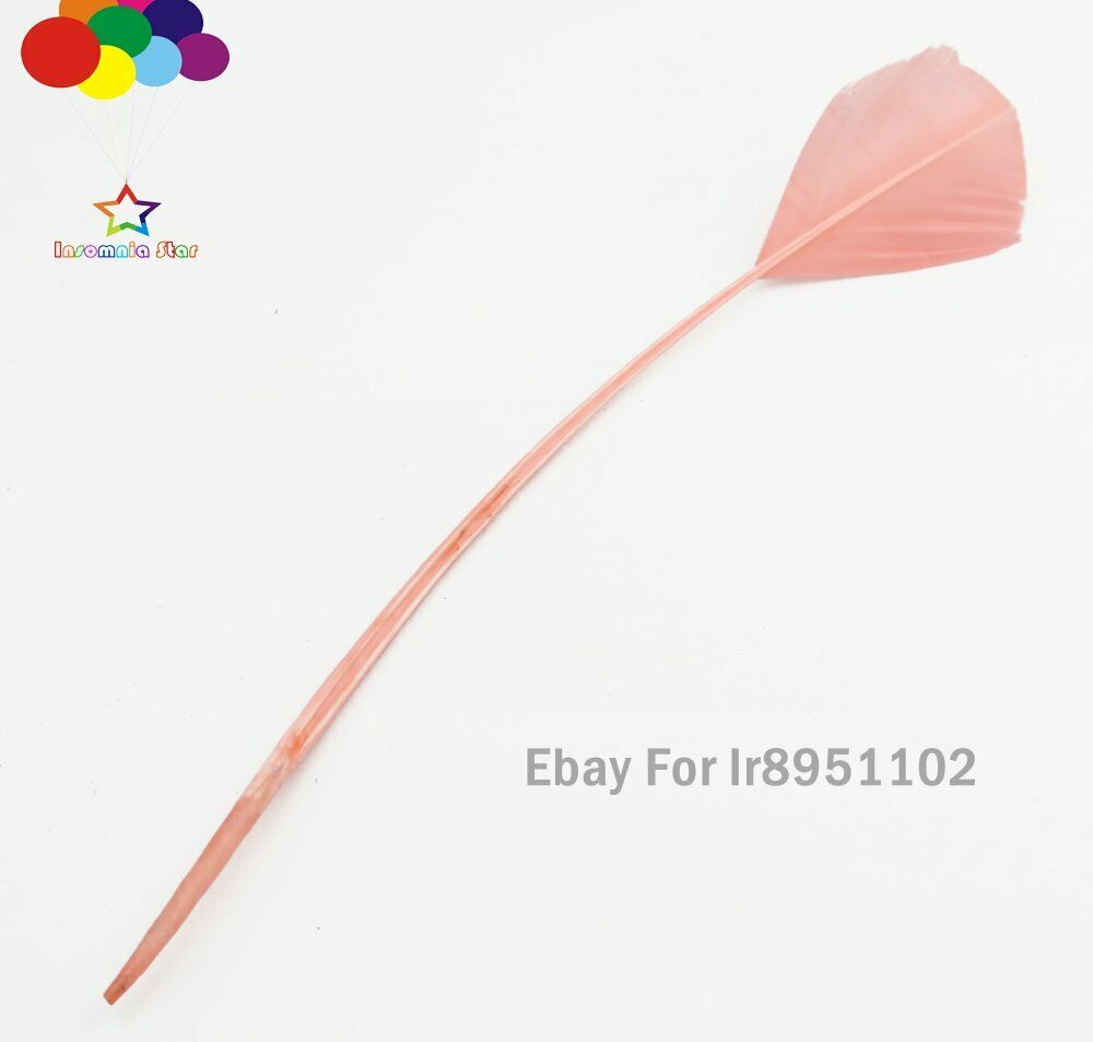 Flesh pink 100 pcs 28-35 cm turkey wing feathers 11-14 inch Plume Carnival DIY
