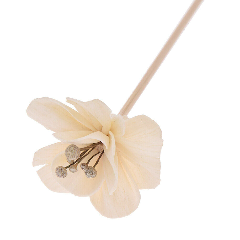 5x Flowers Diffuser Rattan Reed Incense No Fire Replacement Refill Sticks Decor