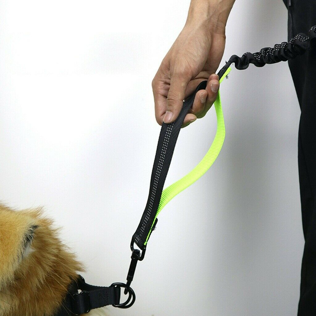 Adjustable Dog Walking Bungee Lead Strong Coupler Elastic Anti Strain Leash NEW