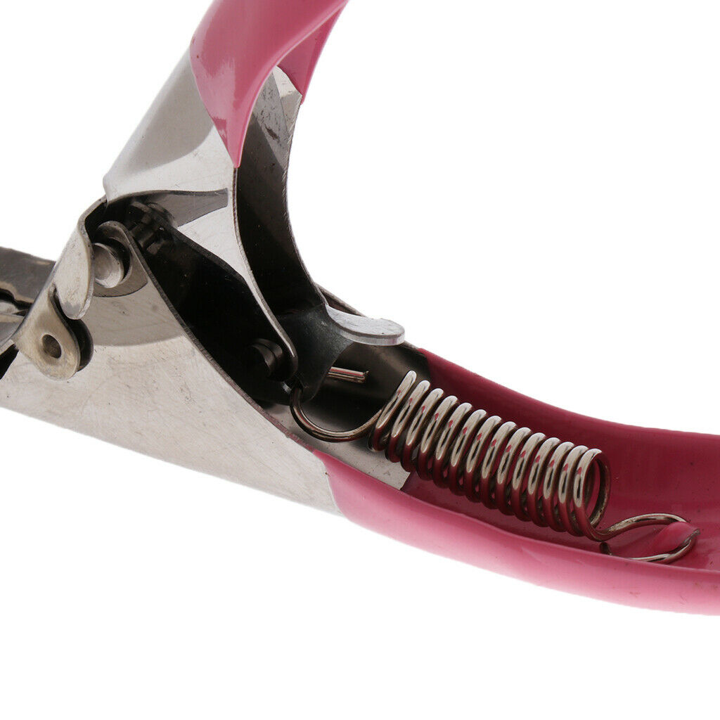 Plastic Handle Stainless Steel Blade Nail  Acrylic UV GEL False Tips