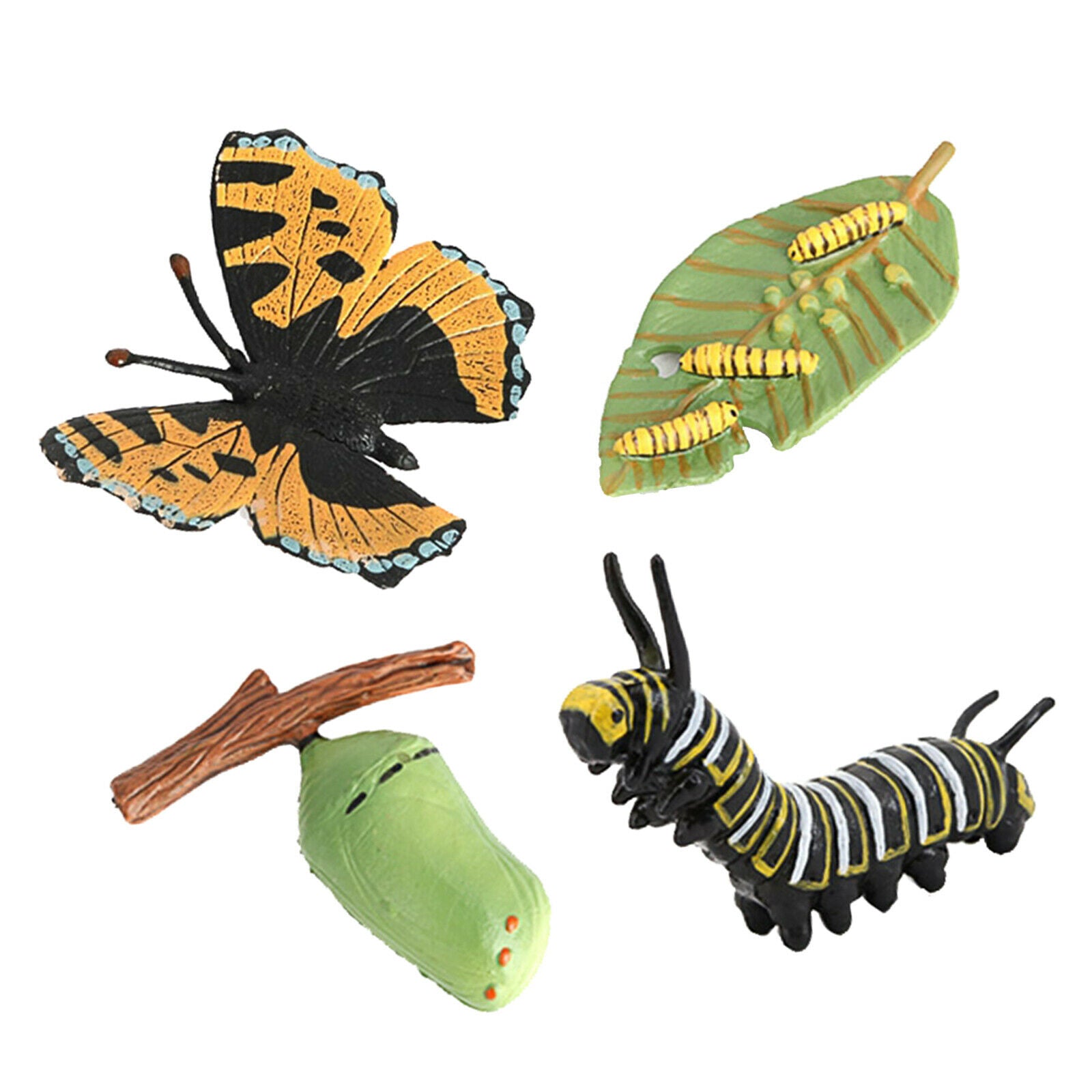 Meticulously Designed Ladybug Butterfly Lifecycle Figures， Educational