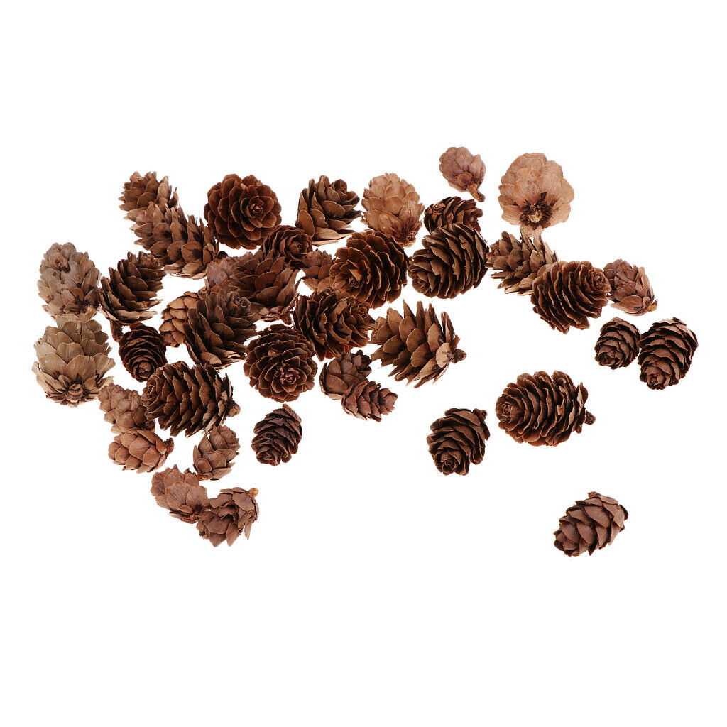 Lots 50x Pine Cones Rustic Pinecones Wedding Wreath Embellishments Crafts
