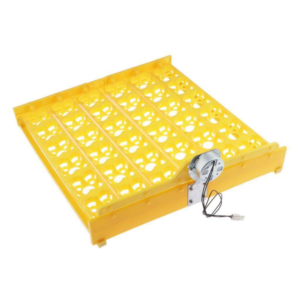 Plastic Automatic Egg Turner Tray, 36 Eggs Incubator Poultry Hatcher for Chicken