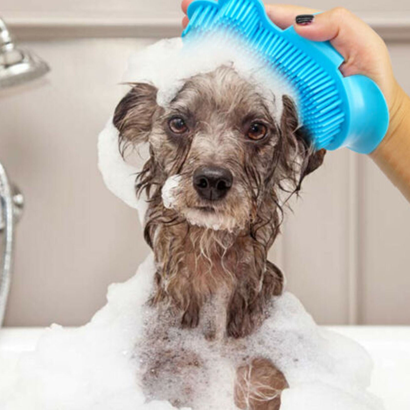 Pet Cat Dog Grooming Brush Cleaning Massage Comb Glove Tool for Small Large Dogs