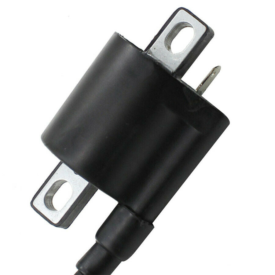 12V Ignition Coil For Chinese Motor DirtBike ATV Scooter GoKart Moped 50cc-250cc