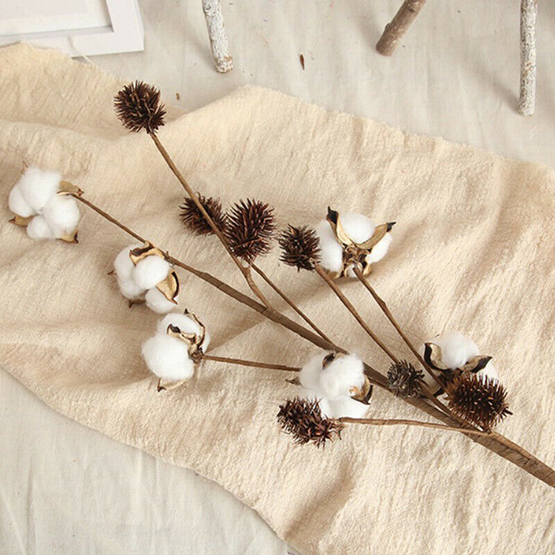 Naturally Dried Cotton Flowers Artificial Plants Floral Branch for Decora.l8
