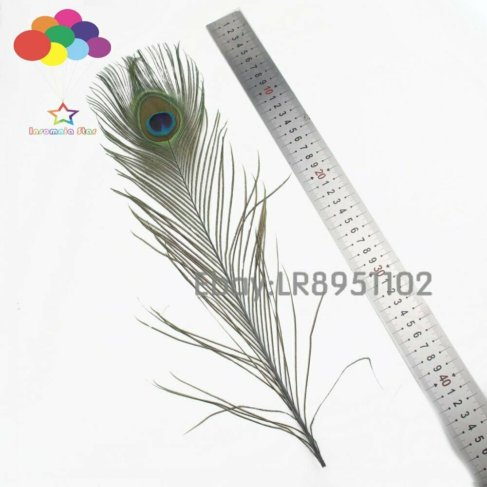 Wholesale Black dyed Peacock Feathers 100 Pcs/Lot 40-45CM/16-18Inch DIY Plumes