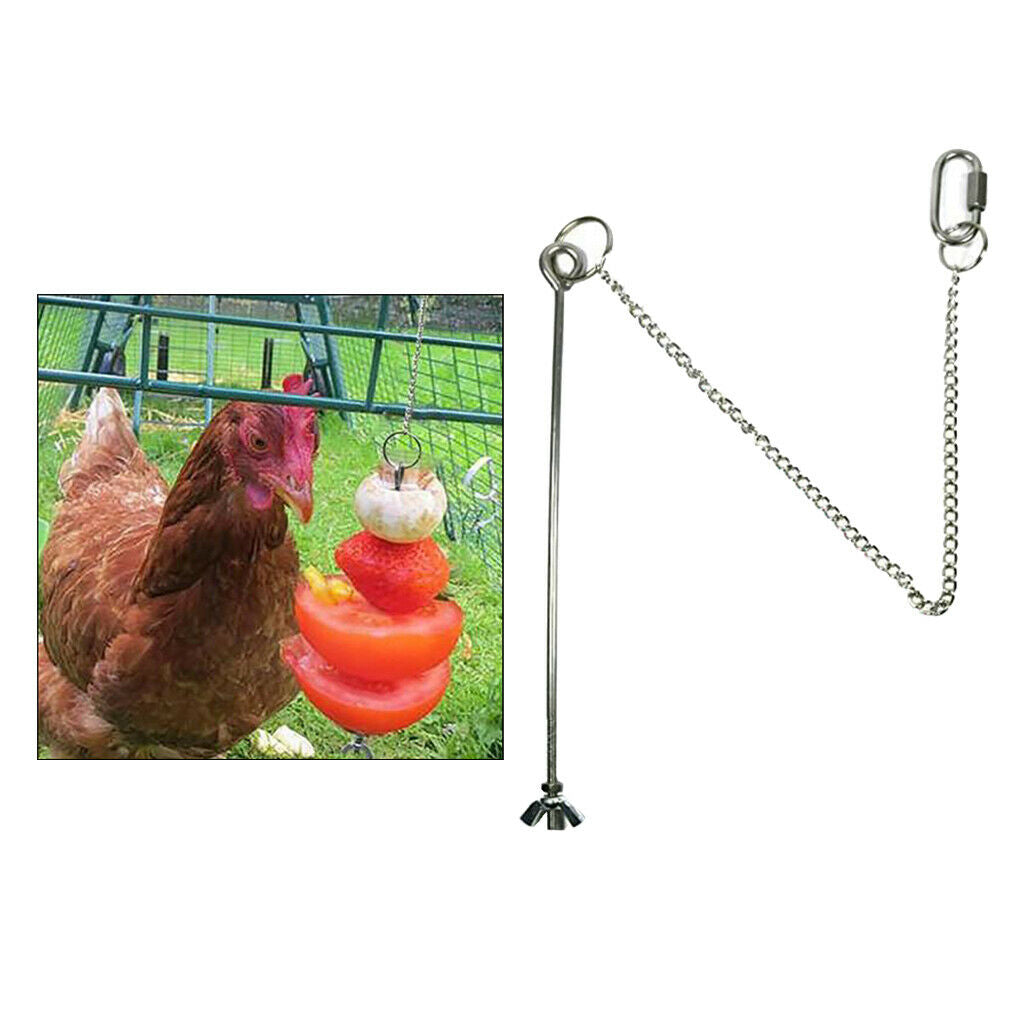 Bird Food Holder Hanging Toys for Birds Chicken Finches Cockatoo Cockatiel