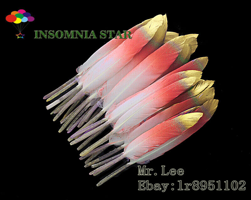 100 pcs watermelon red Colorful Natural Goose Feather 10-15cm/4-6 inches